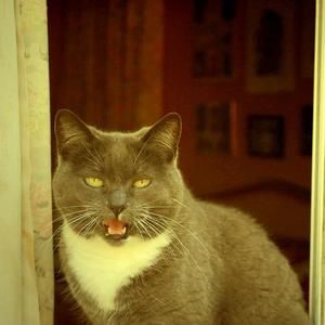 Meet your Posher, Kate